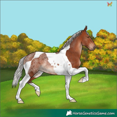 Horse Color:Silver Bay Ice Mushroom Tobiano Rabicano 