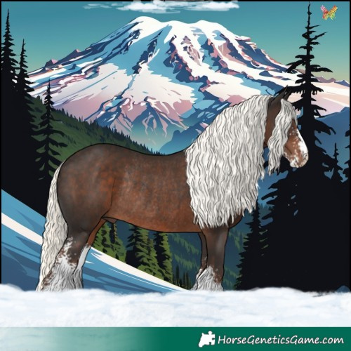 Horse Color:Liver Chestnut Mushroom Sabino Rabicano 
