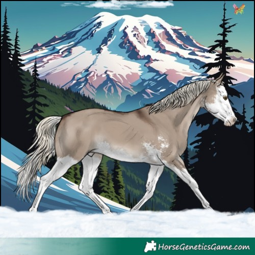 Horse Color:Liver Red Dun Mushroom Sabino Splash 