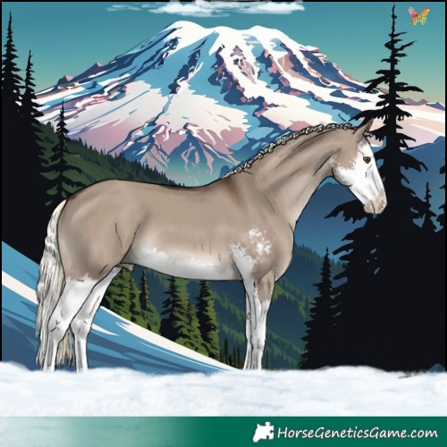 Horse Color:Liver Red Dun Mushroom Sabino Splash 