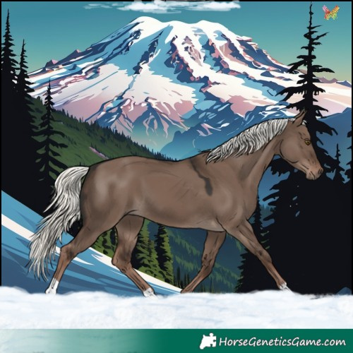 Horse Color:Liver Red Dun Mushroom 
