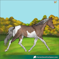 Horse Color:Silver Brown Dun Mushroom Tobiano 