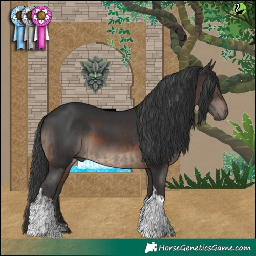 Horse Color:Brown Tobiano Rabicano  and Black Tobiano Rabicano 