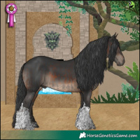 Horse Color:Brown Tobiano Rabicano  and Black Tobiano Rabicano 