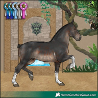 Horse Color:Brown Tobiano Rabicano and Black Tobiano Rabicano