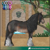 Horse Color:Brown Tobiano Rabicano  and Black Tobiano Rabicano 