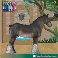 Horse Color:Brown Tobiano Rabicano  and Black Tobiano Rabicano 