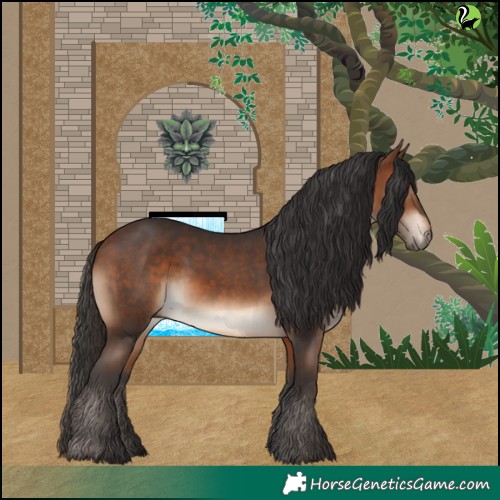 Horse Color:Brown Rabicano 
