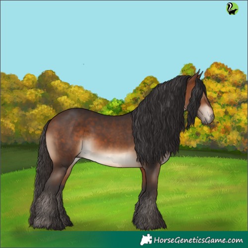 Horse Color:Brown Rabicano