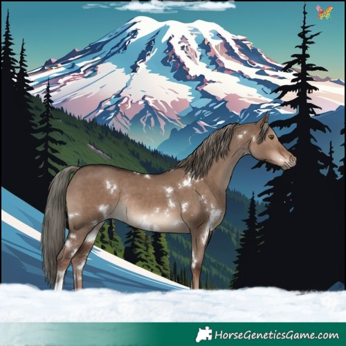 Horse Color:White Spotted Liver Red Dun Mushroom Rabicano 