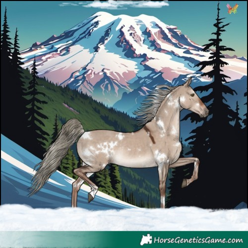 Horse Color:White Spotted Liver Red Dun Mushroom Rabicano 