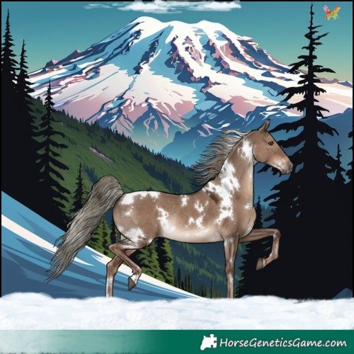 Horse Color:White Spotted Liver Red Dun Mushroom Rabicano 