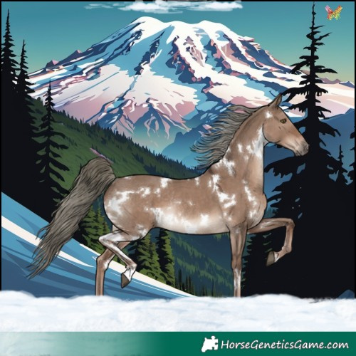 Horse Color:White Spotted Liver Red Dun Mushroom Rabicano 