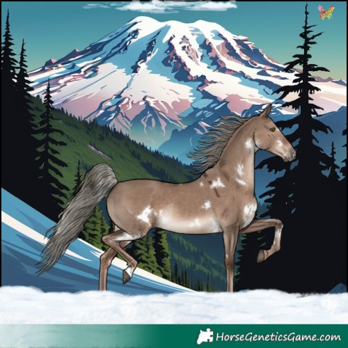 Horse Color:White Spotted Liver Red Dun Mushroom Rabicano 