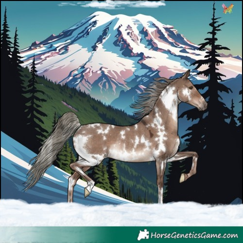 Horse Color:White Spotted Liver Red Dun Mushroom Rabicano 