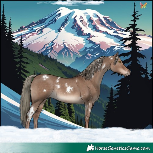 Horse Color:White Spotted Liver Red Dun Mushroom Rabicano 