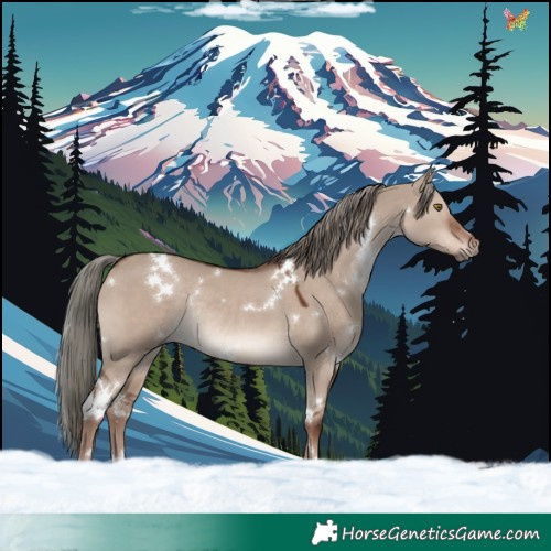 Horse Color:White Spotted Liver Red Dun Mushroom Rabicano 