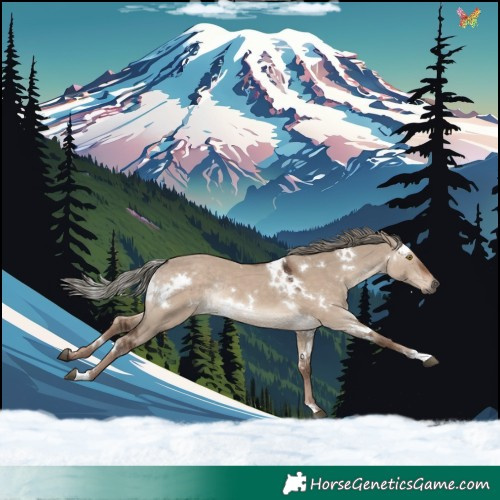 Horse Color:White Spotted Liver Red Dun Mushroom Rabicano 