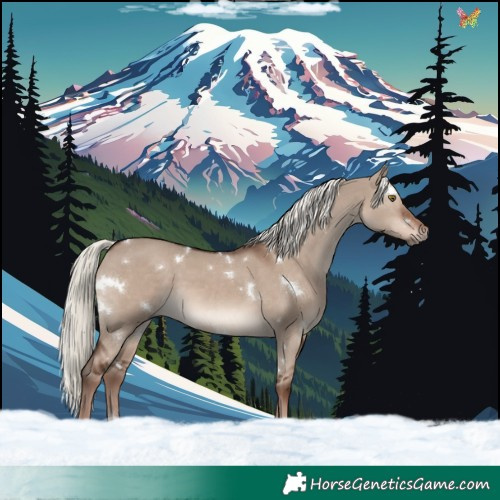 Horse Color:White Spotted Liver Red Dun Mushroom Rabicano 