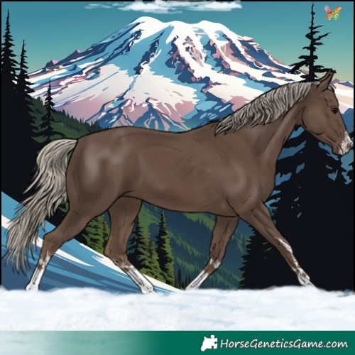 Horse Color:White Spotted Chocolate Silver Smoky Black 