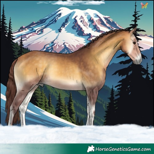 Horse Color:Chocolate Buckskin Onyx 