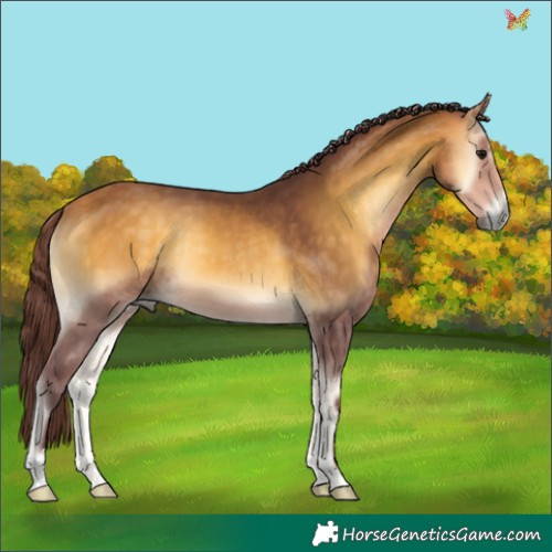 Horse Color:Chocolate Buckskin Onyx 