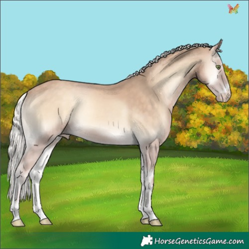 Horse Color:Chocolate Silver Perlino Onyx 