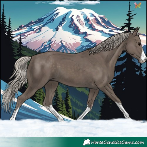 Horse Color:White Spotted Silver Smoky Black 