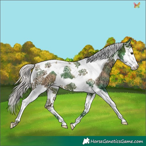 Horse Color:Watercolor Silver Brown Ice Splash Tobiano Rabicano 