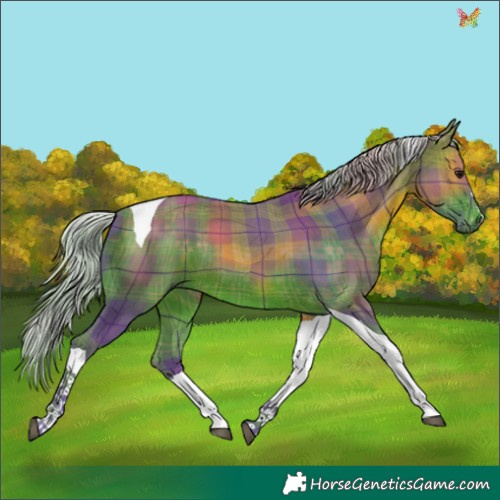Horse Color:Watercolor Plaid  Silver Brown Tobiano 