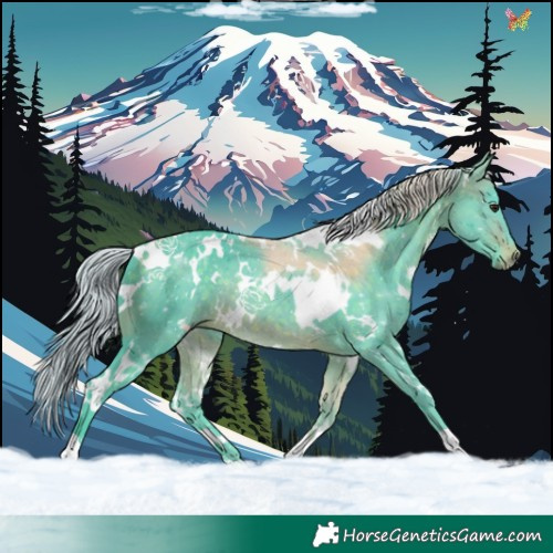 Horse Color:Watercolor White Spotted Silver Brown 