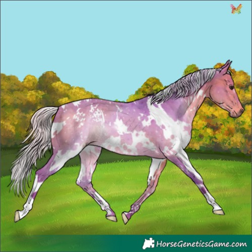 Horse Color:Watercolor White Spotted Silver Brown 