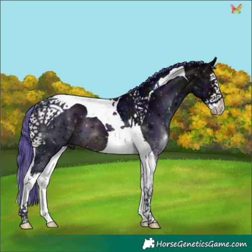 Horse Color:Watercolor Midnight Brown Ice Splash Tobiano Rabicano 
