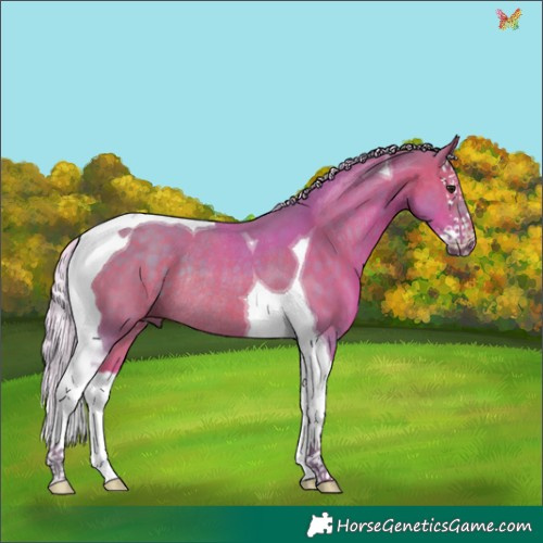 Horse Color:Watercolor Silver Brown Splash Tobiano Rabicano 