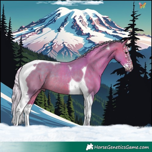 Horse Color:Watercolor Silver Brown Splash Tobiano Rabicano 