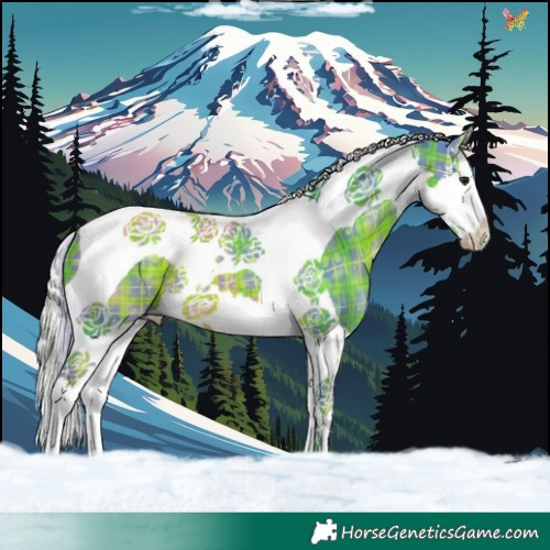 Horse Color:Watercolor Plaid  Silver Brown Splash Tobiano 