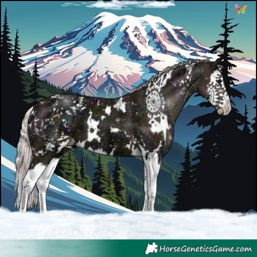 Horse Color:Watercolor Plaid  White Spotted Midnight Silver Brown Ice Splash 
