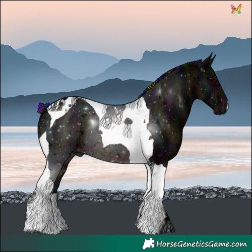 Horse Color:Painted Plaid  Midnight Brown Ice Tobiano Rabicano 