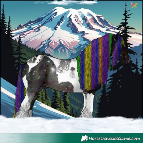 Horse Color:Painted Plaid  Midnight Brown Ice Tobiano Rabicano 