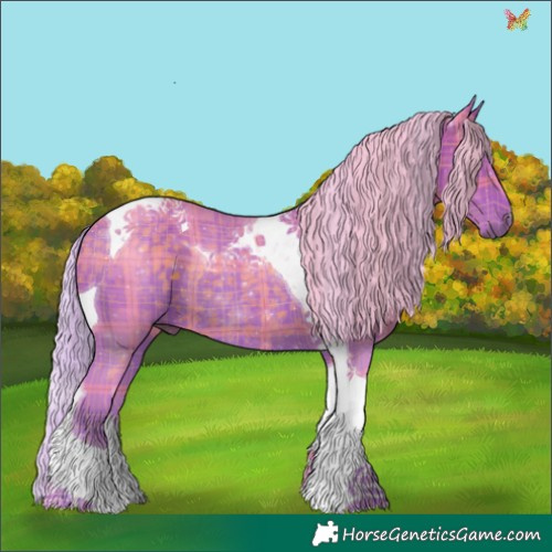 Horse Color:Watercolor Plaid  Silver Brown Tobiano Rabicano 