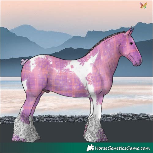 Horse Color:Watercolor Plaid  Silver Brown Tobiano Rabicano 