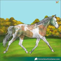 Horse Color:Watercolor Plaid Silver Bay Splash Tobiano