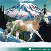 Horse Color:Watercolor Plaid  Silver Bay Splash Tobiano 