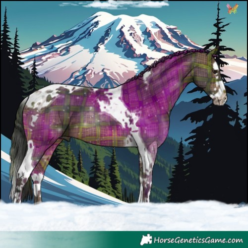Horse Color:Plaid  Bay Splash Tobiano 