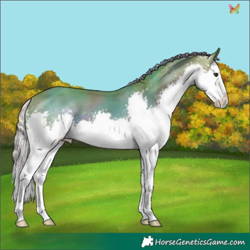 Horse Color:Watercolor Liver Chestnut Splash 