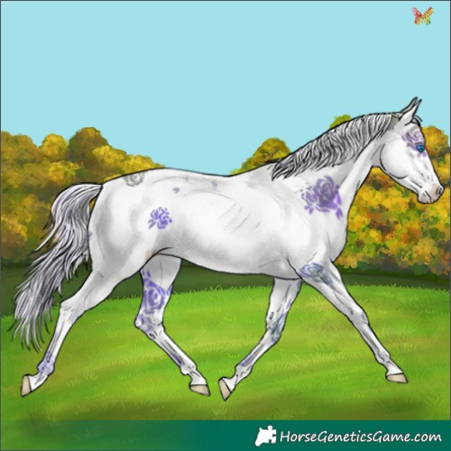 Horse Color:Watercolor Chocolate Palomino Splash Tobiano 