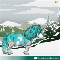 Horse Color:Watercolor Smoky Black Splash 