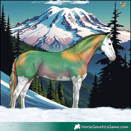 Horse Color:Painted Watercolor Brown Splash 