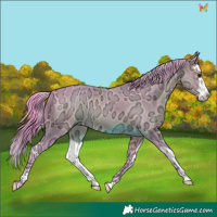 Horse Color:Watercolor White Spotted Brown Ice Splash 
