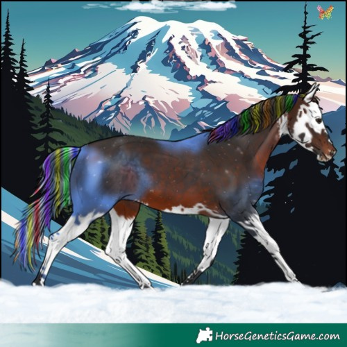 Horse Color:Painted White Spotted Brown Splash 
